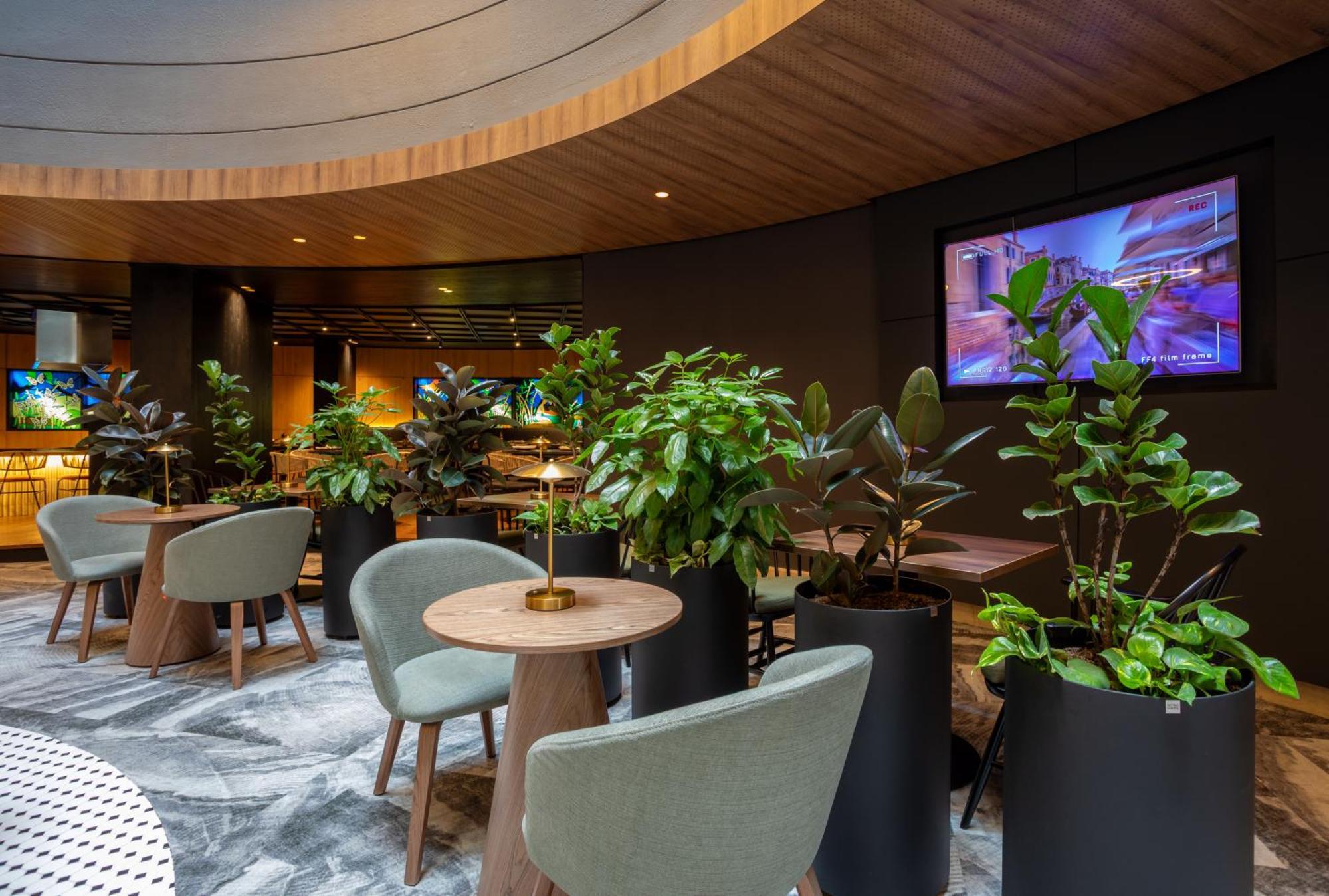 Cosmos 100 Hotel & Centro De Convenciones - Hoteles Cosmos — Photos 3